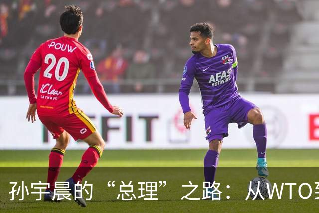 孙宇晨的“总理”之路：从WTO到虚拟国的娱乐圈大咖